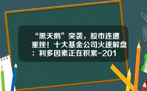 “黑天鹅”突袭，股市连遭重挫！十大基金公司火速解盘：利多因素正在积累-2018基金