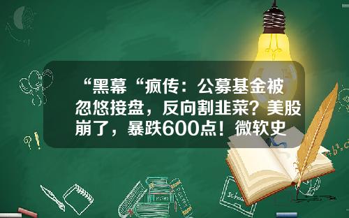 “黑幕“疯传：公募基金被忽悠接盘，反向割韭菜？美股崩了，暴跌600点！微软史上最大规模：狂砸4300亿进军元宇宙，暴涨超30%-黑幕基金
