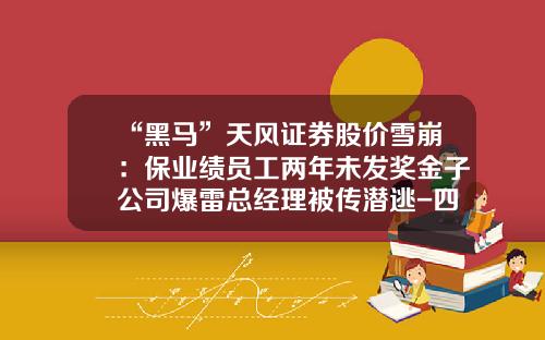 “黑马”天风证券股价雪崩：保业绩员工两年未发奖金子公司爆雷总经理被传潜逃-四川天睿基金