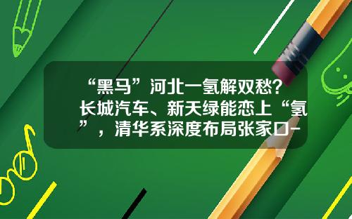 “黑马”河北一氢解双愁？长城汽车、新天绿能恋上“氢”，清华系深度布局张家口-水木有恒投资基金