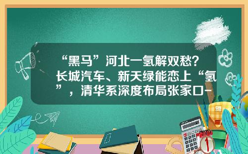 “黑马”河北一氢解双愁？长城汽车、新天绿能恋上“氢”，清华系深度布局张家口-河北国企煤炭销售公司