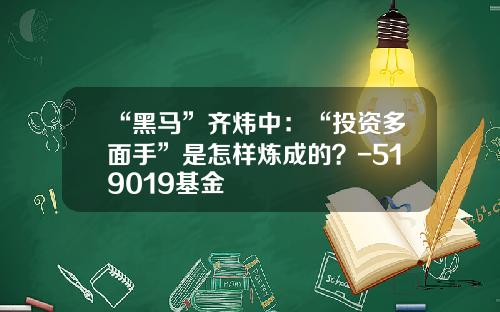 “黑马”齐炜中：“投资多面手”是怎样炼成的？-519019基金