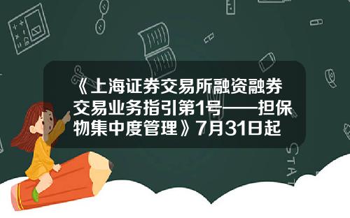 《上海证券交易所融资融券交易业务指引第1号——担保物集中度管理》7月31日起施行-股票融资担保比例是多少开始危险