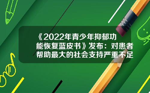《2022年青少年抑郁功能恢复蓝皮书》发布：对患者帮助最大的社会支持严重不足-日慈公益基金会