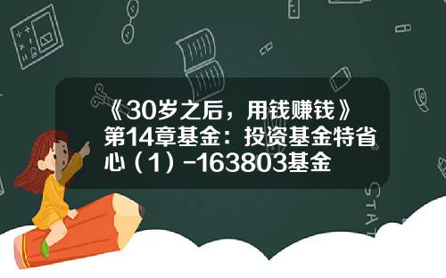 《30岁之后，用钱赚钱》第14章基金：投资基金特省心（1）-163803基金