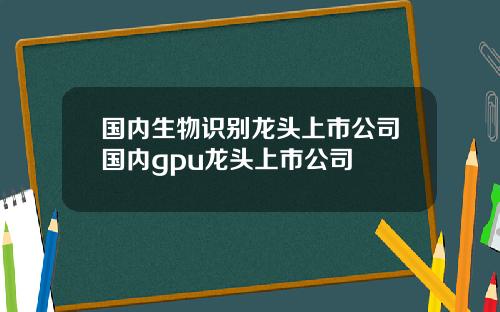 国内生物识别龙头上市公司国内gpu龙头上市公司