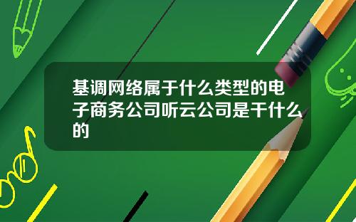 基调网络属于什么类型的电子商务公司听云公司是干什么的