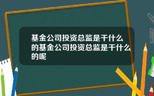 基金公司投资总监是干什么的基金公司投资总监是干什么的呢