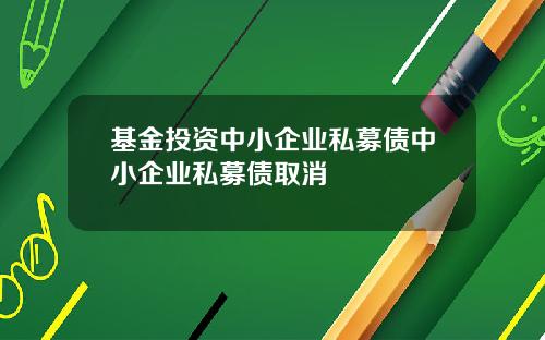 基金投资中小企业私募债中小企业私募债取消