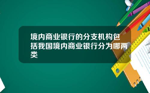 境内商业银行的分支机构包括我国境内商业银行分为哪两类