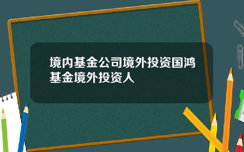 境内基金公司境外投资国鸿基金境外投资人