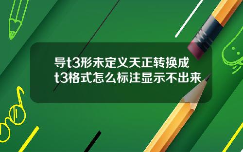 导t3形未定义天正转换成t3格式怎么标注显示不出来