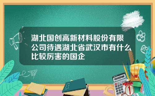 湖北国创高新材料股份有限公司待遇湖北省武汉市有什么比较厉害的国企