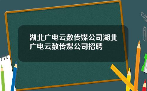 湖北广电云数传媒公司湖北广电云数传媒公司招聘