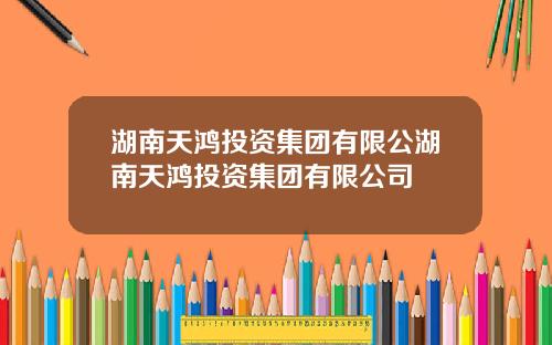 湖南天鸿投资集团有限公湖南天鸿投资集团有限公司