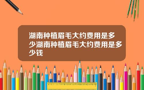 湖南种植眉毛大约费用是多少湖南种植眉毛大约费用是多少钱