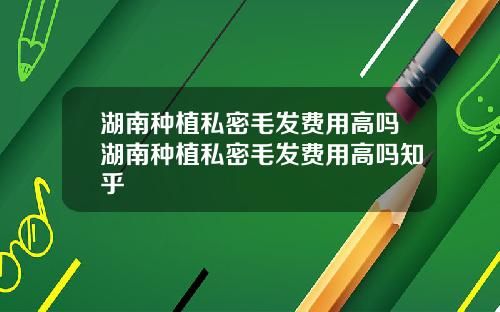 湖南种植私密毛发费用高吗湖南种植私密毛发费用高吗知乎