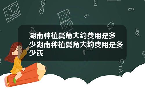 湖南种植鬓角大约费用是多少湖南种植鬓角大约费用是多少钱
