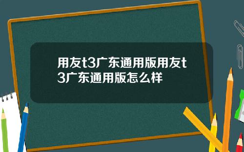 用友t3广东通用版用友t3广东通用版怎么样