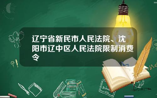 辽宁省新民市人民法院、沈阳市辽中区人民法院限制消费令