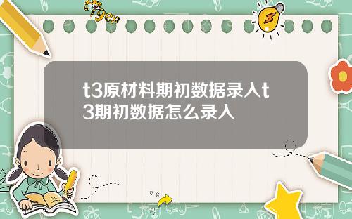 t3原材料期初数据录入t3期初数据怎么录入