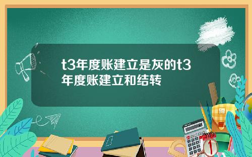 t3年度账建立是灰的t3年度账建立和结转