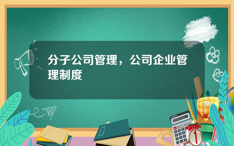 分子公司管理，公司企业管理制度