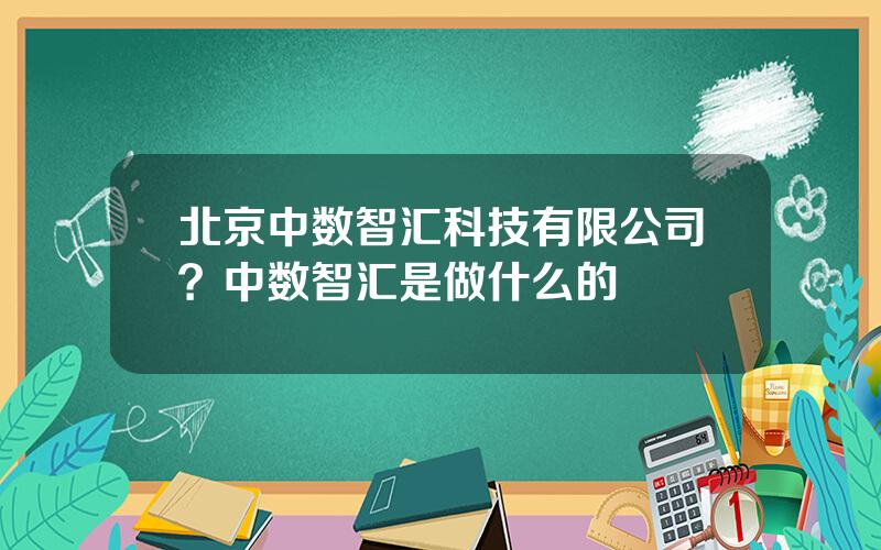 北京中数智汇科技有限公司？中数智汇是做什么的