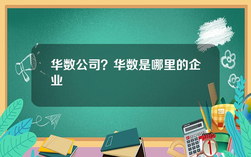 华数公司？华数是哪里的企业