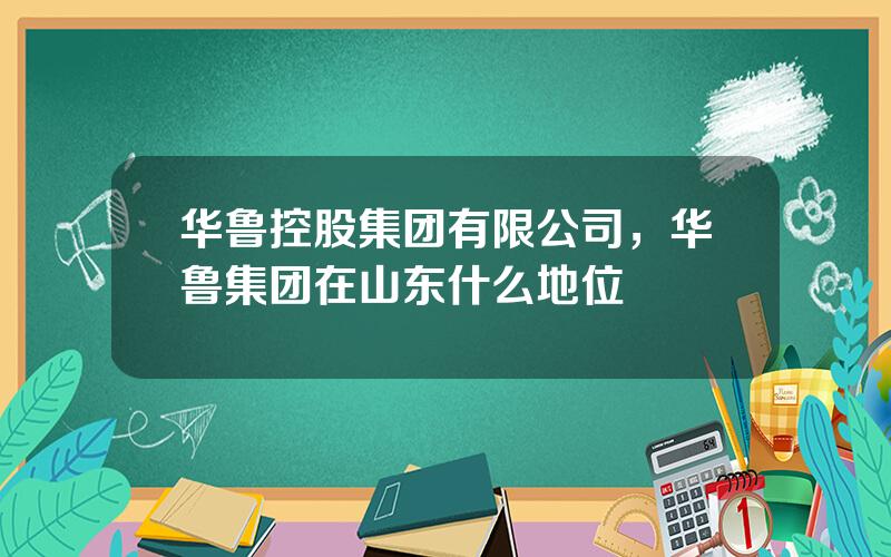 华鲁控股集团有限公司，华鲁集团在山东什么地位