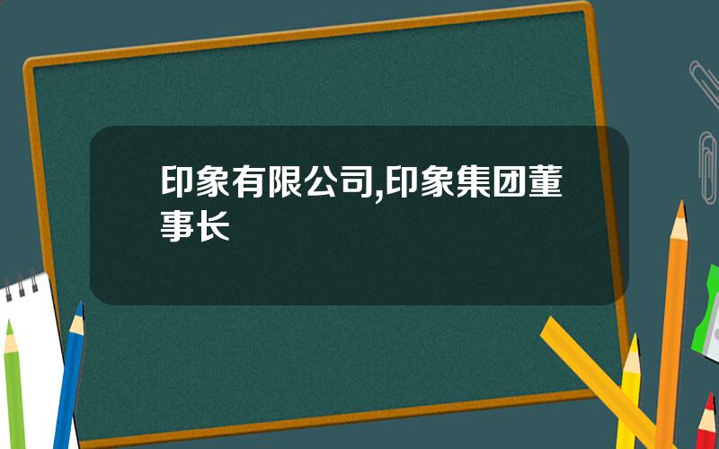印象有限公司,印象集团董事长