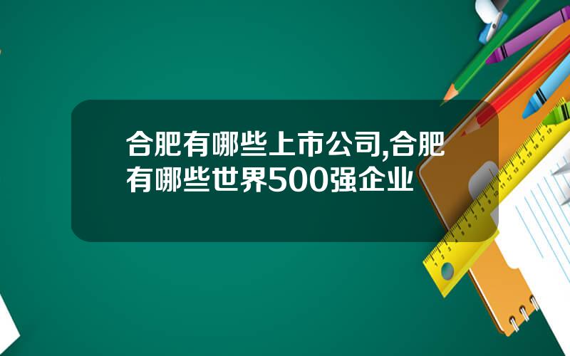 合肥有哪些上市公司,合肥有哪些世界500强企业