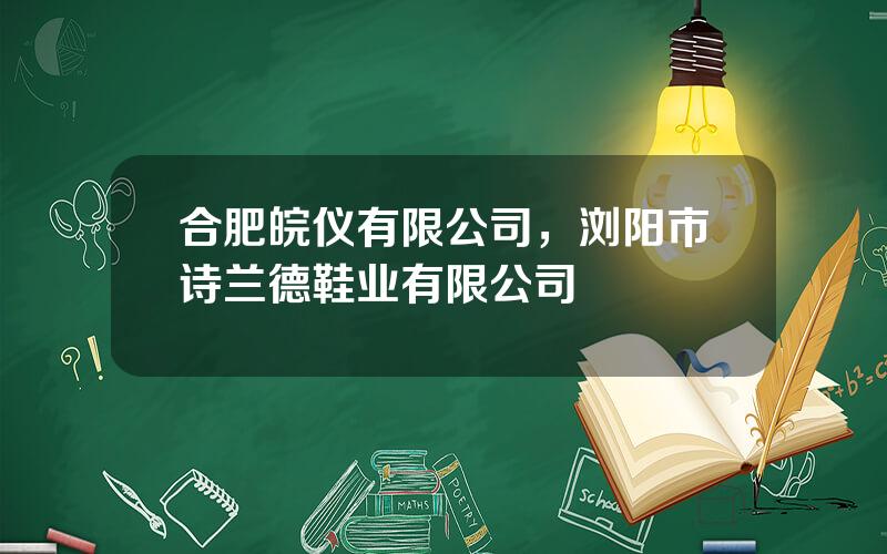 合肥皖仪有限公司，浏阳市诗兰德鞋业有限公司