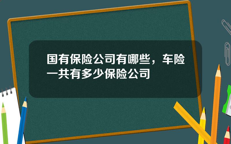 国有保险公司有哪些，车险一共有多少保险公司