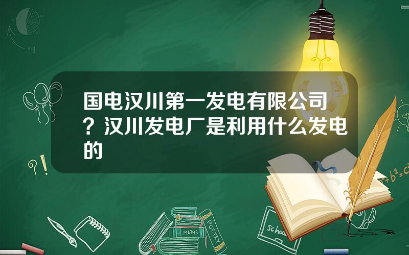 国电汉川第一发电有限公司？汉川发电厂是利用什么发电的