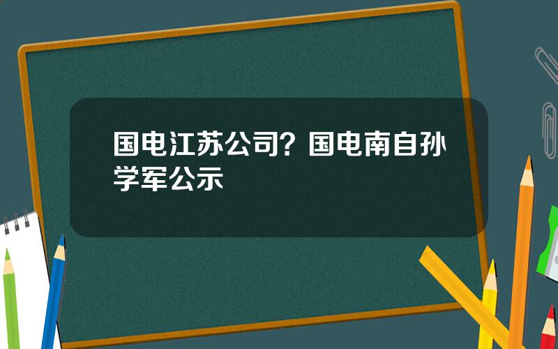 国电江苏公司？国电南自孙学军公示