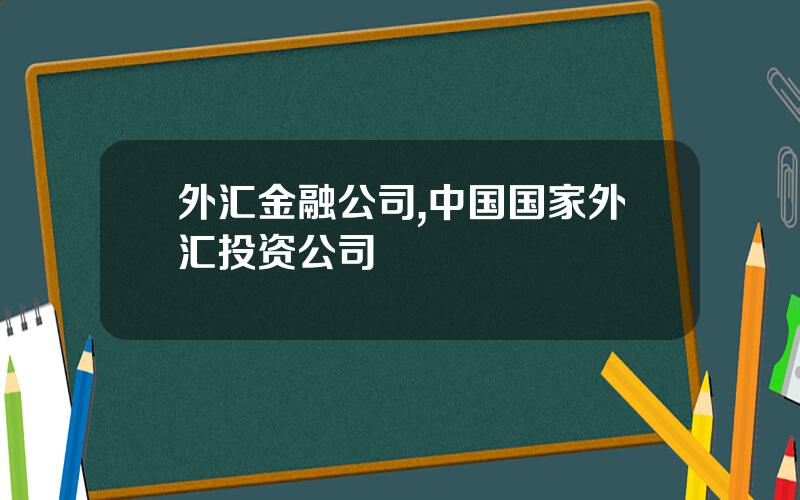 外汇金融公司,中国国家外汇投资公司