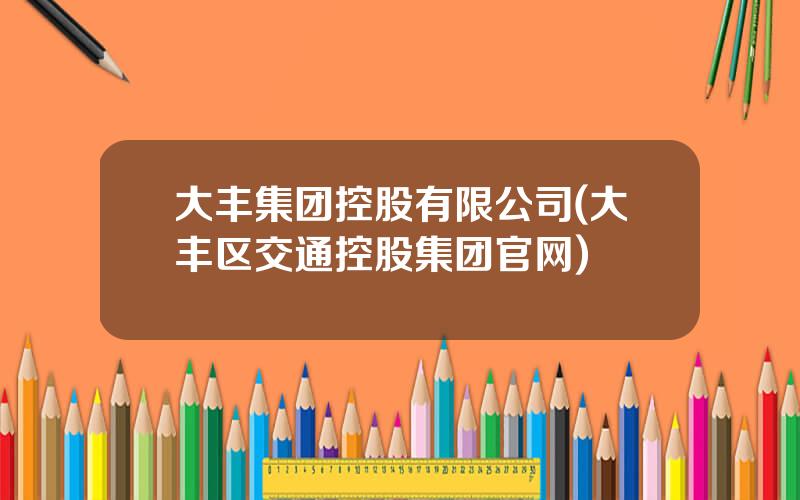 大丰集团控股有限公司(大丰区交通控股集团官网)