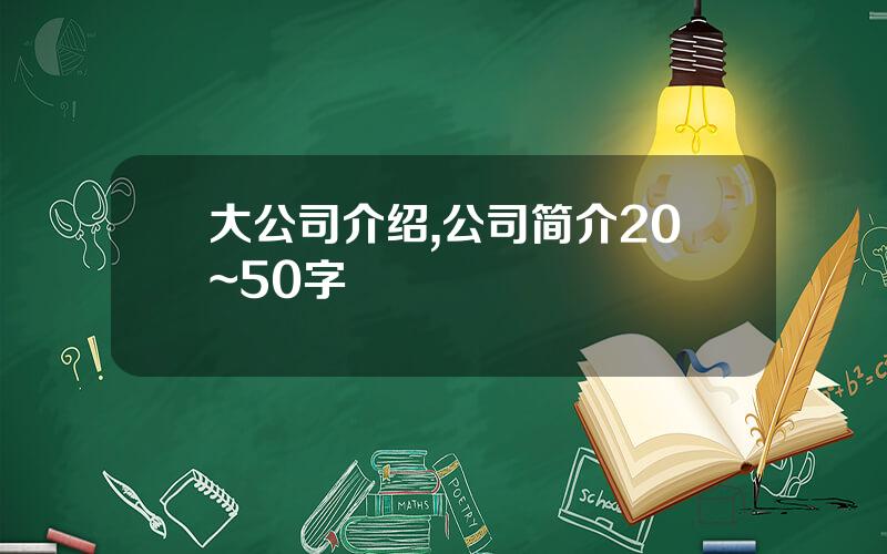 大公司介绍,公司简介20~50字