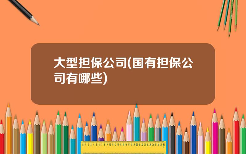 大型担保公司(国有担保公司有哪些)