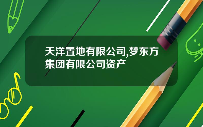 天洋置地有限公司,梦东方集团有限公司资产