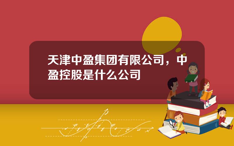 天津中盈集团有限公司，中盈控股是什么公司