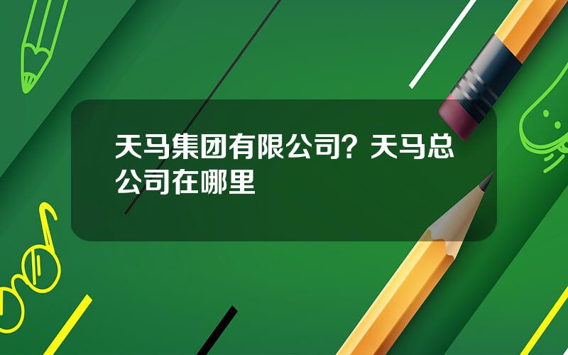 天马集团有限公司？天马总公司在哪里