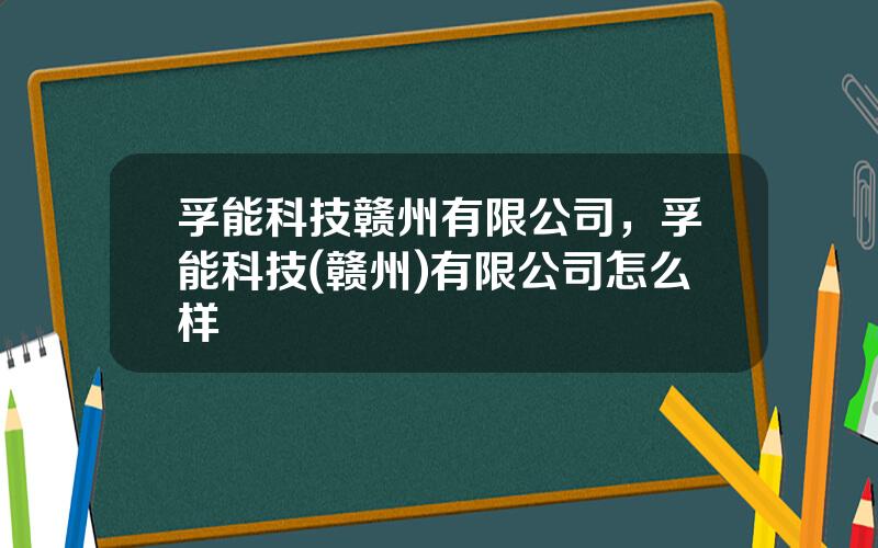 孚能科技赣州有限公司，孚能科技(赣州)有限公司怎么样