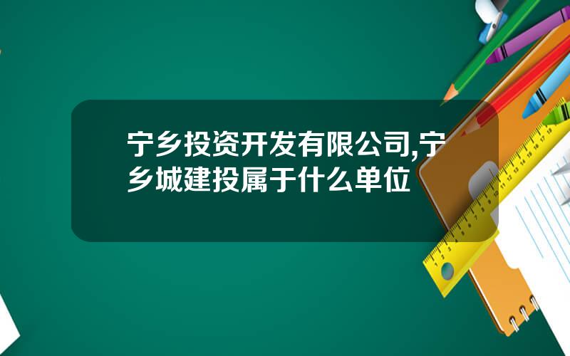 宁乡投资开发有限公司,宁乡城建投属于什么单位