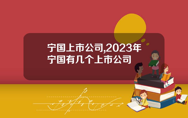 宁国上市公司,2023年宁国有几个上市公司
