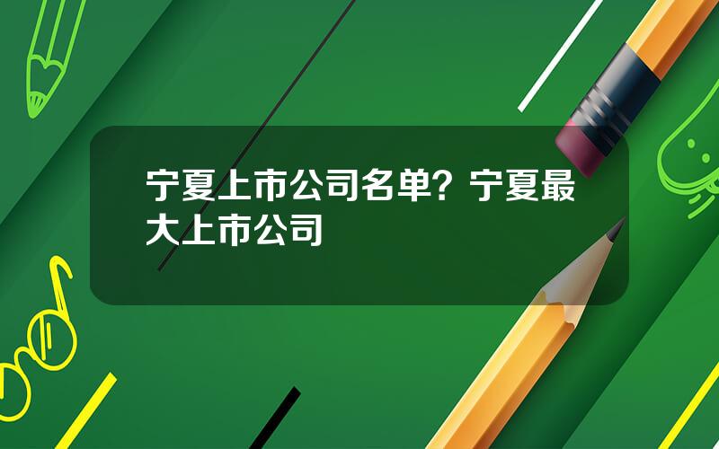 宁夏上市公司名单？宁夏最大上市公司