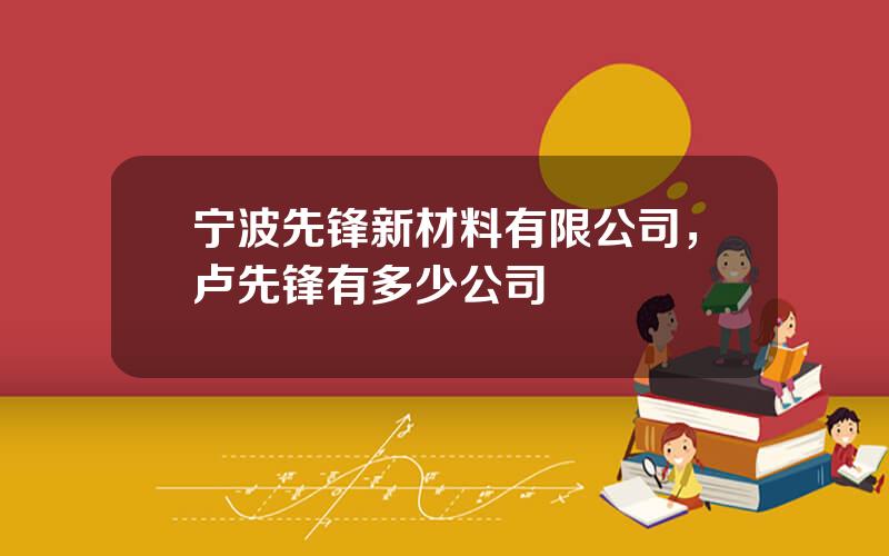 宁波先锋新材料有限公司，卢先锋有多少公司