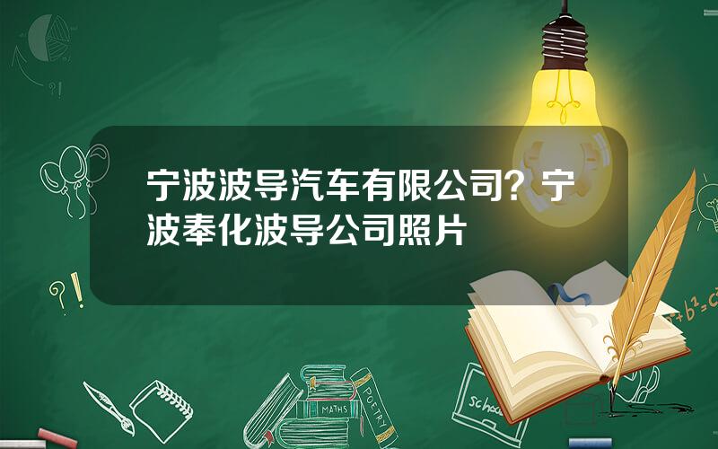 宁波波导汽车有限公司？宁波奉化波导公司照片