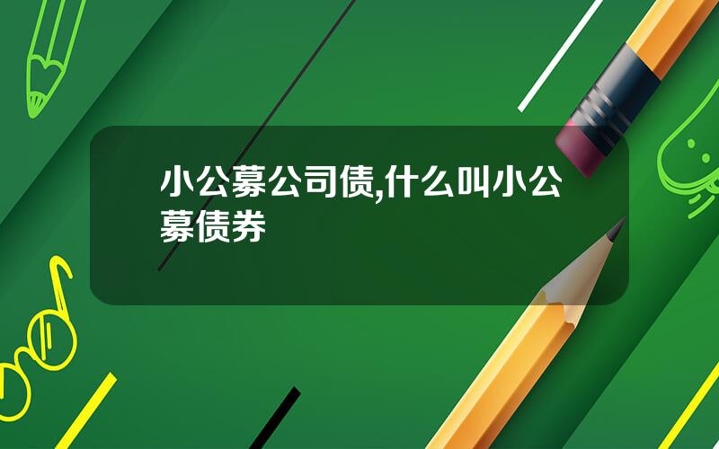 小公募公司债,什么叫小公募债券